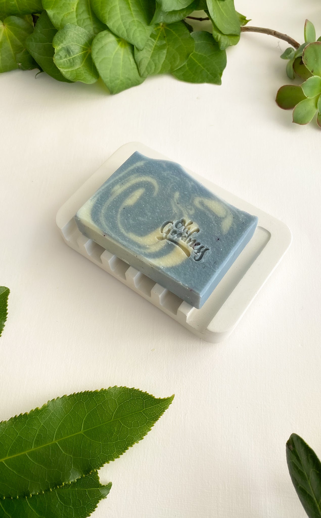 Grille Soap Dish Oh Goodness