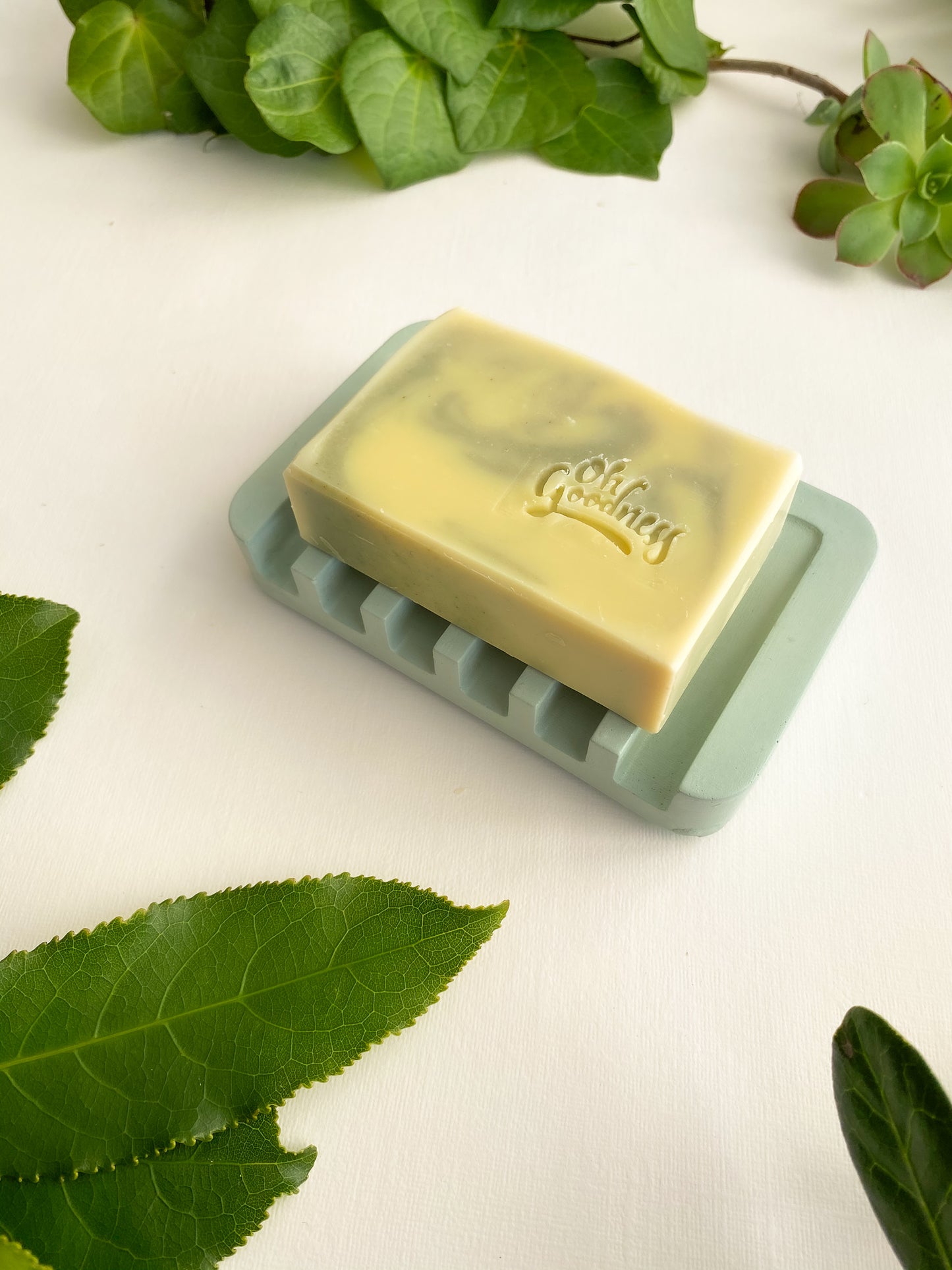 Grille Soap Dish Oh Goodness