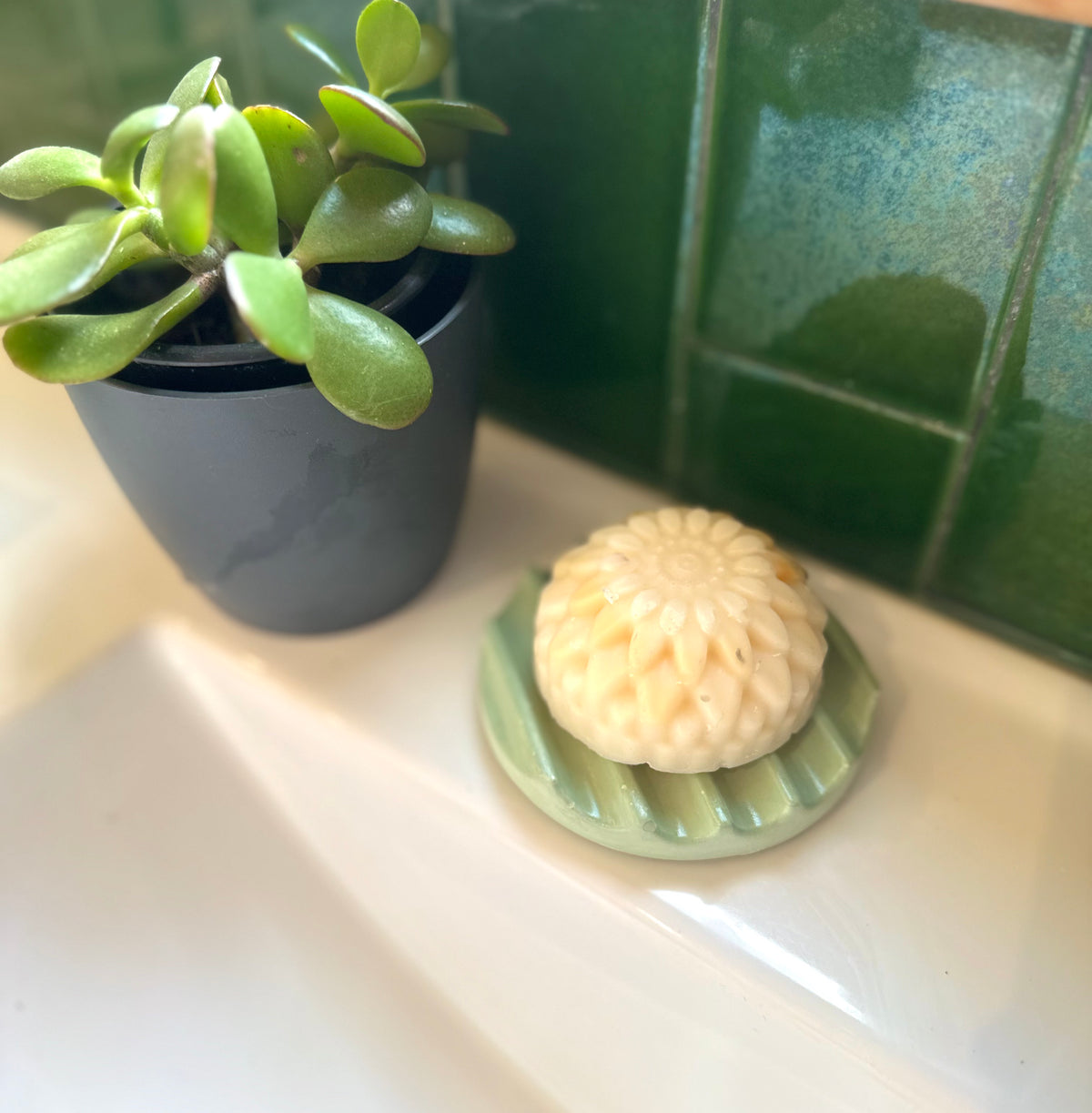 Round Ridge Soap Dish